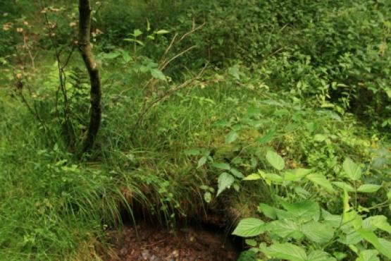 Přírodní památka Milhostovské mofety