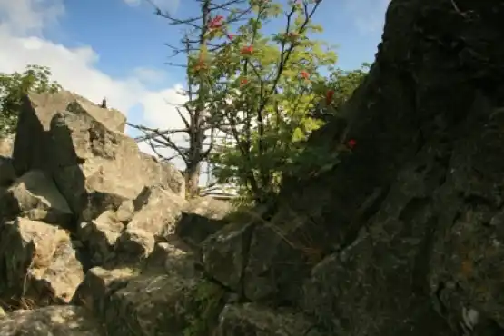 Přírodní rezervace Podhorní vrch 2