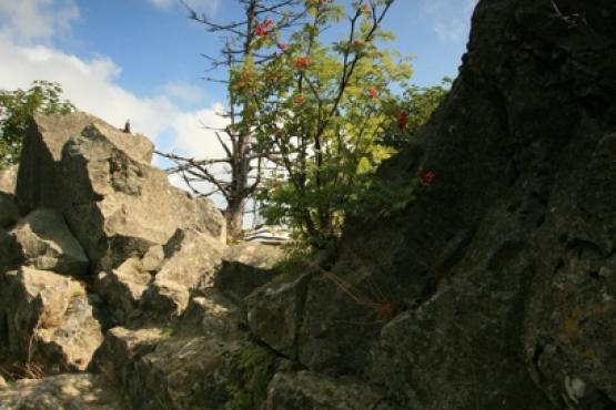 Přírodní rezervace Podhorní vrch 2