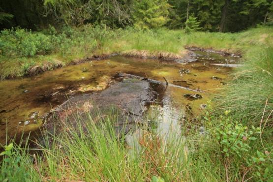 Přírodní rezervace Smraďoch 2