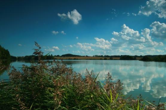 Přírodní rezervace Amerika 2