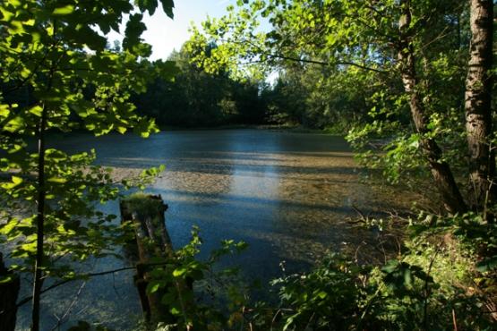 Přírodní památka U Sedmi rybníků 2