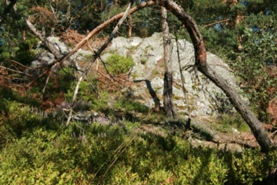 Přírodní památka Goethova skalka