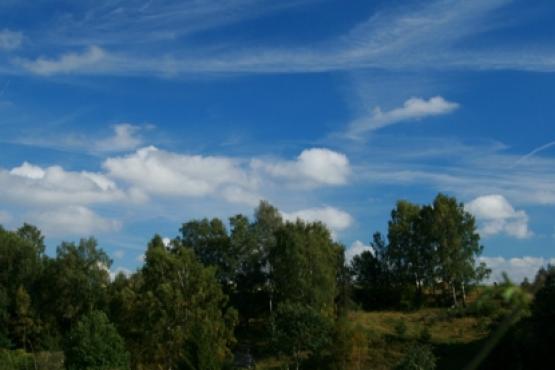 Přírodní rezervace Stráň u Dubiny 2