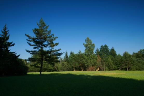 Přírodní rezervace Hamrnický mokřad