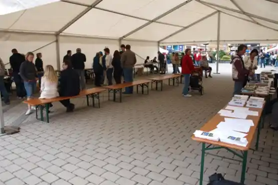 Burza propagačních materiálů v Sokolově - 14.09.2013
