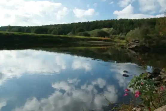 Přírodní rezervace Rathsam