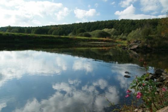 Přírodní rezervace Rathsam