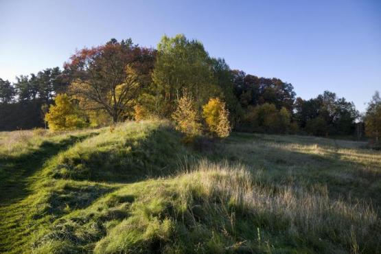 Cheb Komorní hůrka