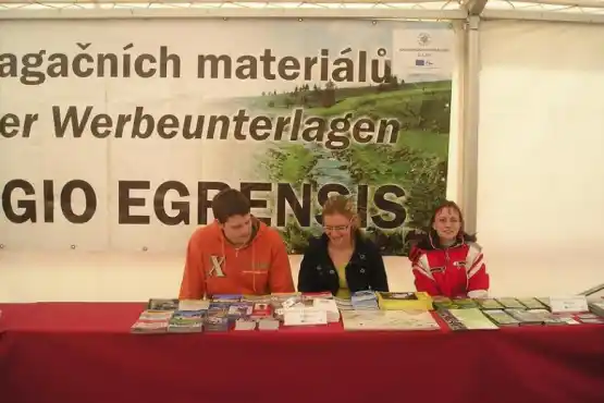 Burza propagačních materiálů v Chebu 2010